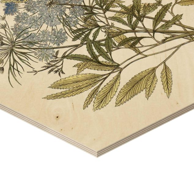 Hexagone en bois - Wild Herbs Board I