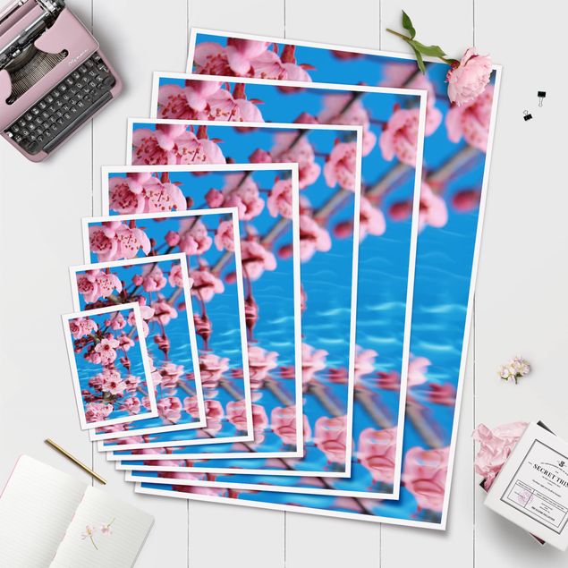 Poster fleurs - Cherry Blossom