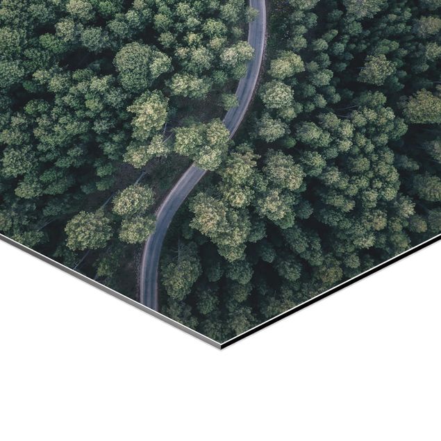 Tableau hexagon Vue aérienne - Route forestière vue d'en haut