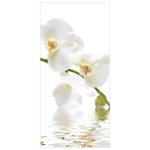Panneau de séparation - White Orchid Waters