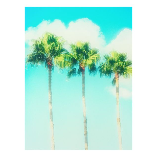 Tableaux paysage Palmiers Contre Ciel Bleu