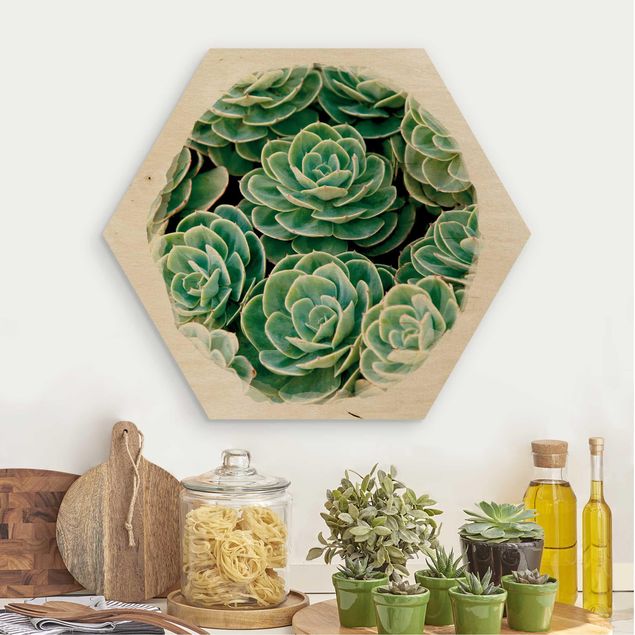 Tableaux en bois avec fleurs Aquarelles - Succulentes vertes