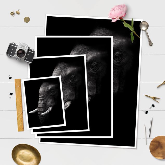 Tableaux Portrait d'éléphant sombre