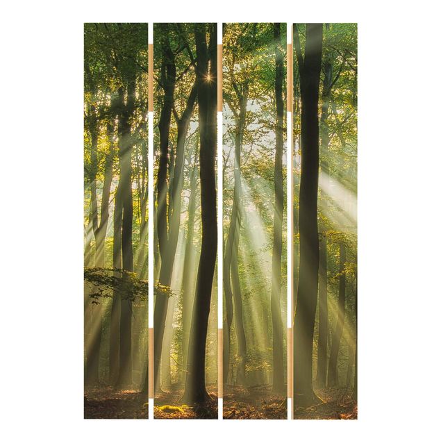 Tableaux bois Journée ensoleillée dans la forêt