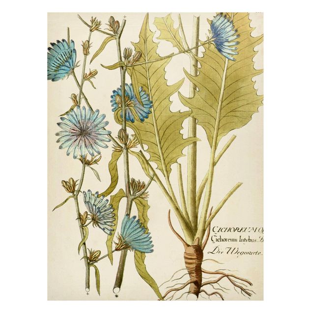 Tableaux magnétiques avec fleurs Botanique vintage en bleu endive