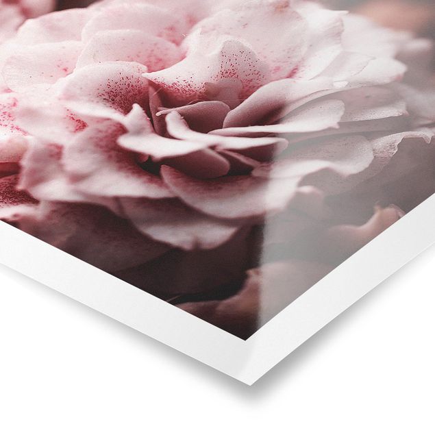 Tableaux Rose Pastel Shabby Pink