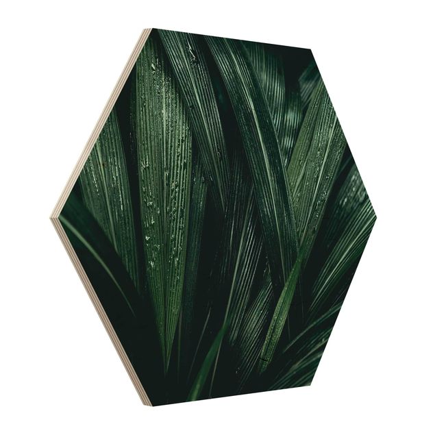 Tableaux en bois Feuilles de palmier vertes