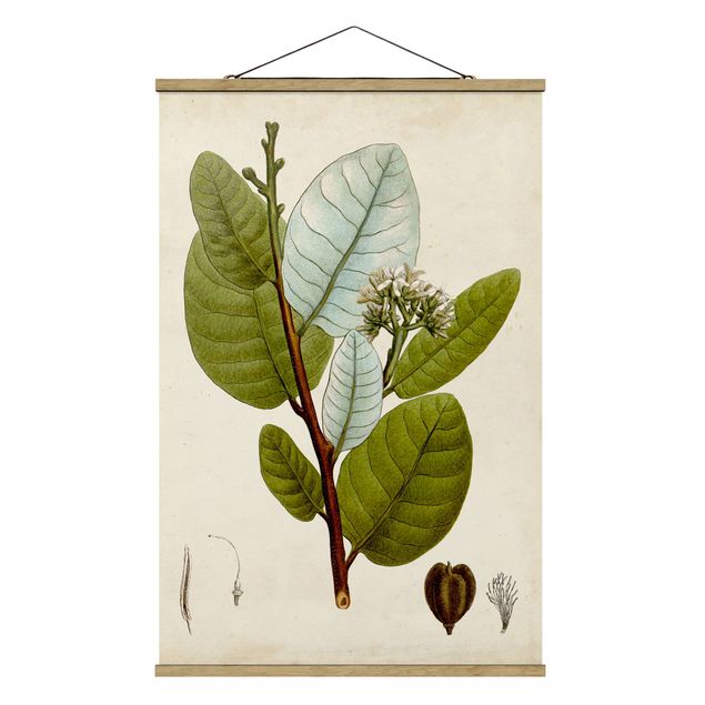 Tableau floral Poster arbre à feuilles caduques I