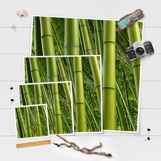 Poster paysage Bamboo Trees