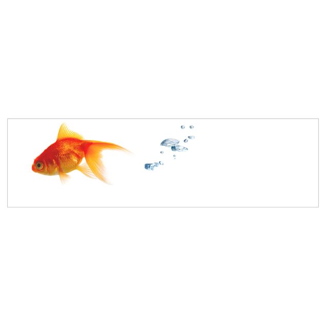Revêtement mural cuisine - Goldfish