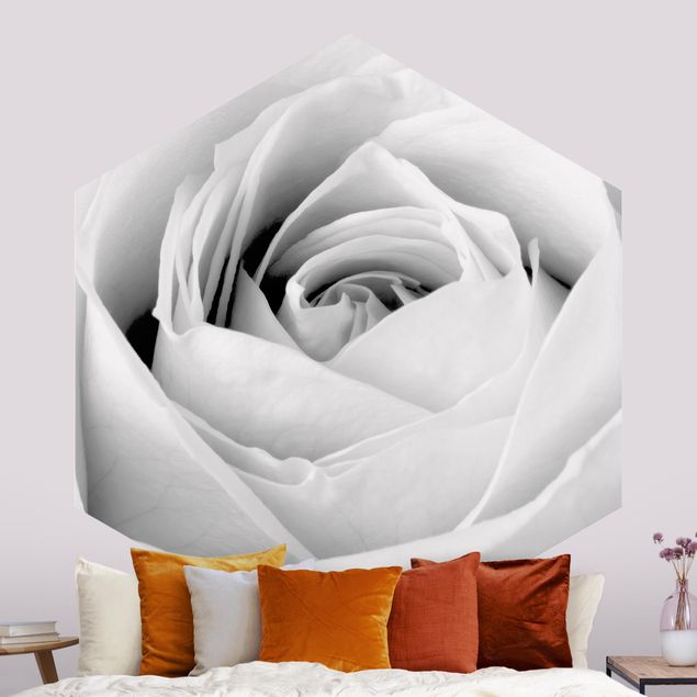 Papier peint roses Close Up Rose