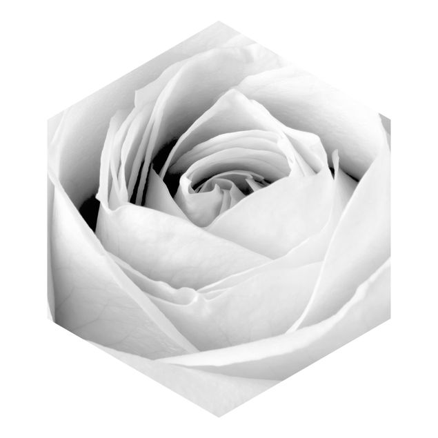Papier peint panoramique Close Up Rose