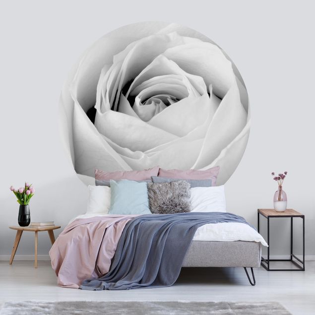 Papier peint fleurs roses Close Up Rose