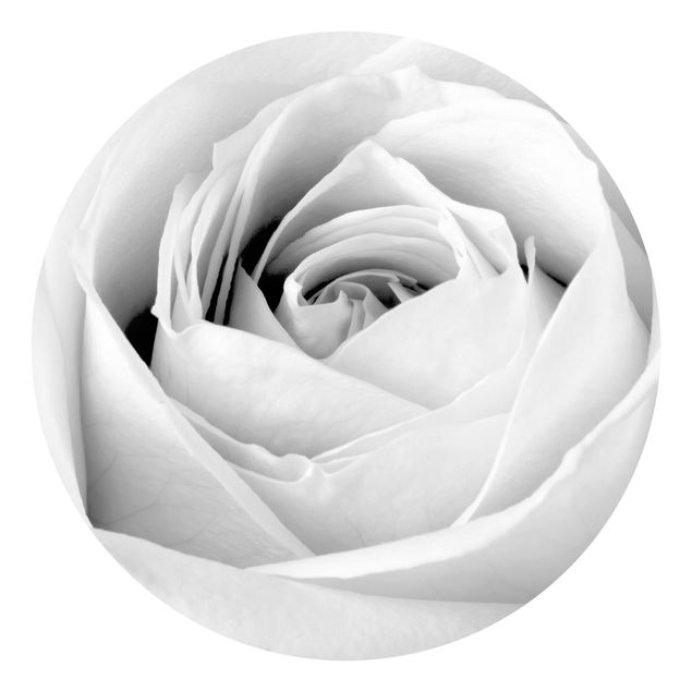 papier peint fleuri Close Up Rose