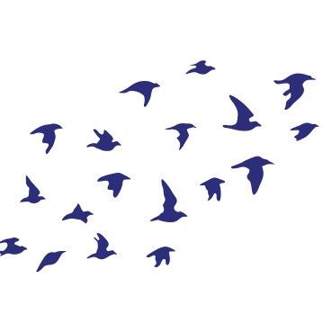 Sticker mur animaux No.61 Flock Of Birds