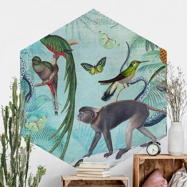 Déco murale cuisine Collage de style colonial - Singes et oiseaux de paradis