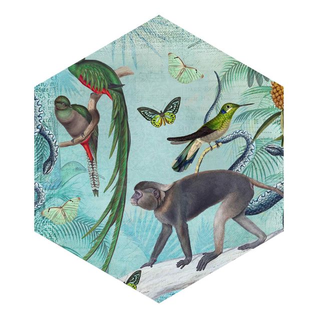 Papier peint animaux forêt Collage de style colonial - Singes et oiseaux de paradis