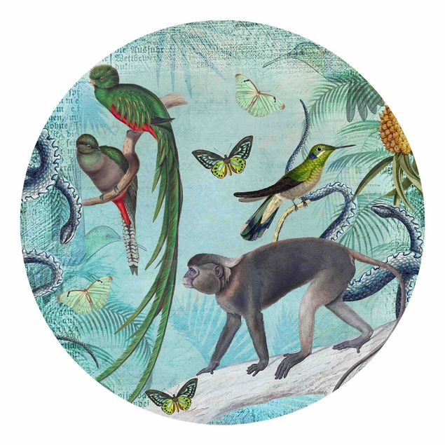 Tapisserie moderne Collage de style colonial - Singes et oiseaux de paradis