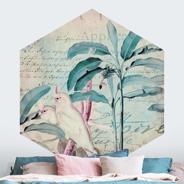 Papier peint oiseaux Colonial Style Collage - Cacatoès et Palmiers