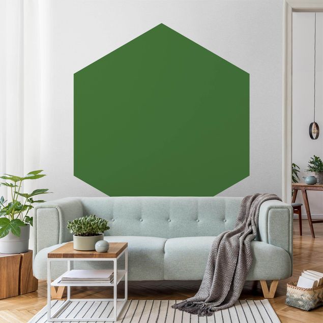 Papiers peintspanoramique hexagonal Coloris Vert Foncé