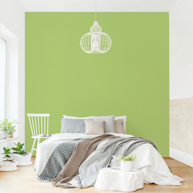 Papier peint panoramique Coloris Vert Printemps