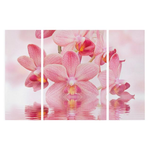 Tableaux fleurs Orchidée rose clair sur l'eau