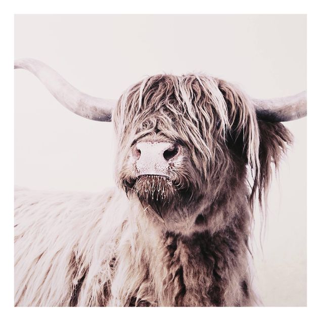 Fonds de hotte - Highland Cattle Frida In Beige - Carré 1:1