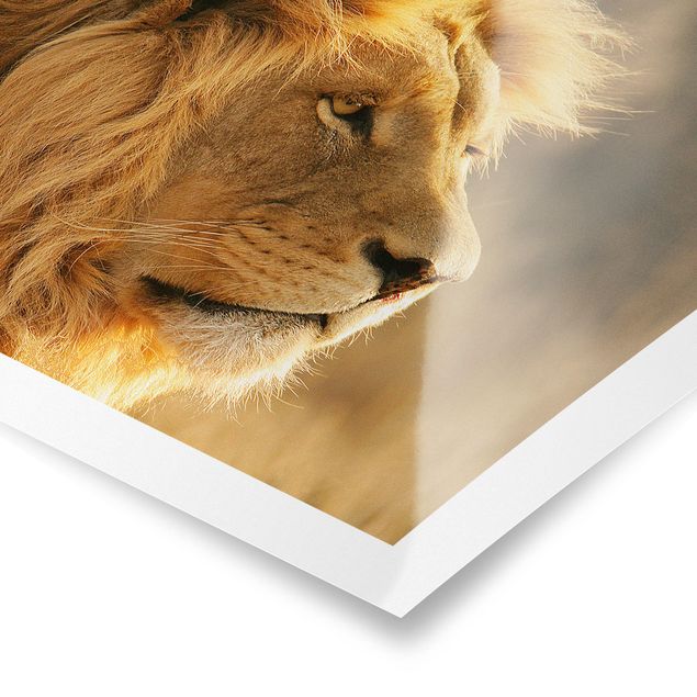 Tableau animaux afrique King Lion