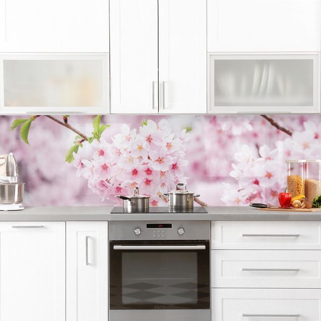 Crédence cuisine villes et architecture Japanese Cherry Blossoms