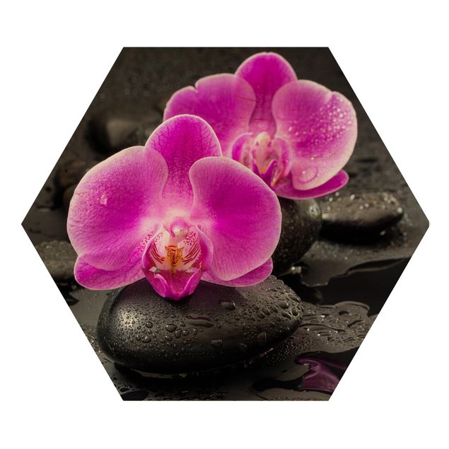 Tableaux fleurs Fleur Orchidée Rose sur Pierres avec Gouttes