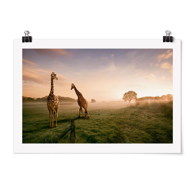 Tableau arbre Surreal Giraffes