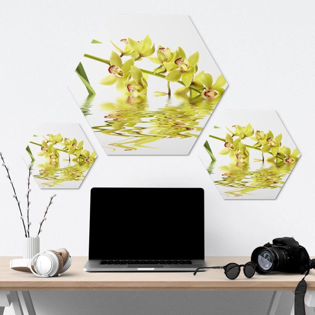 Hexagone en alu Dibond - Elegant Orchid Waters