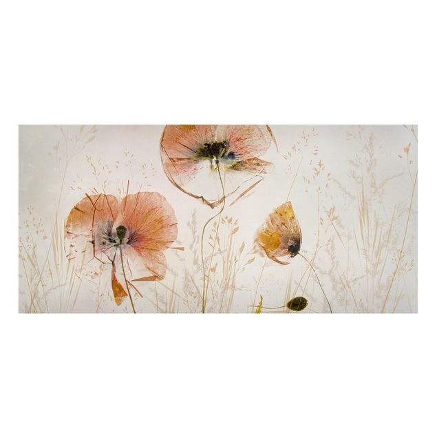 Tableau coquelicot Fleurs de pavot séchées avec des herbes délicates