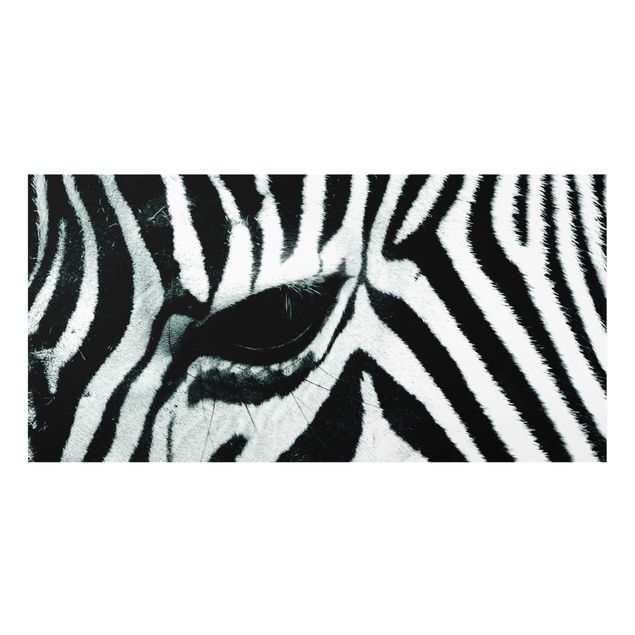 Fond de hotte - Zebra Crossing No.4