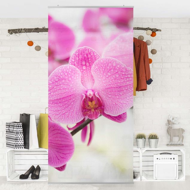 rideau de séparation pièce Gros plan sur une orchidée