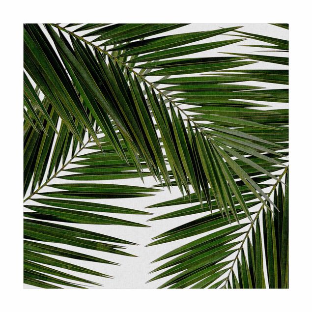 tapis jungle Vue à travers des feuilles de palmier vertes