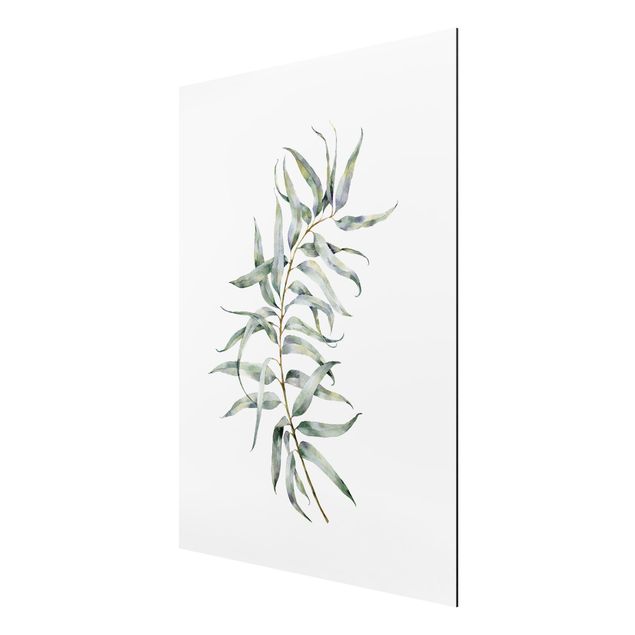 Tableau fleurs Eucalyptus Aquarelle lV