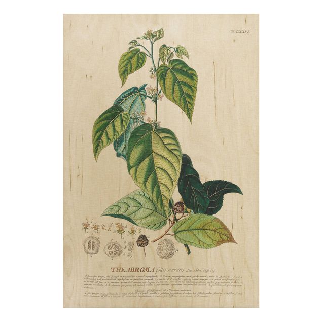 Tableaux en bois avec fleurs Illustration vintage botanique Cacao