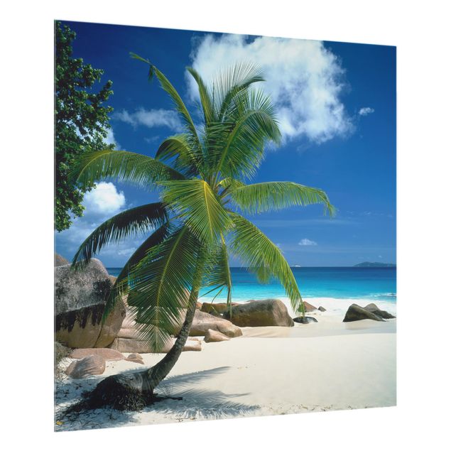 Fond de hotte verre Dream Beach Seychelles