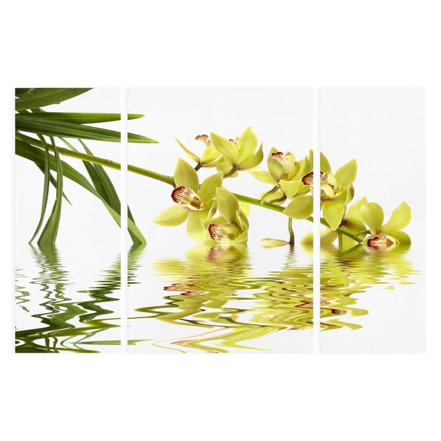 Tableau moderne Eaux élégantes d'orchidées