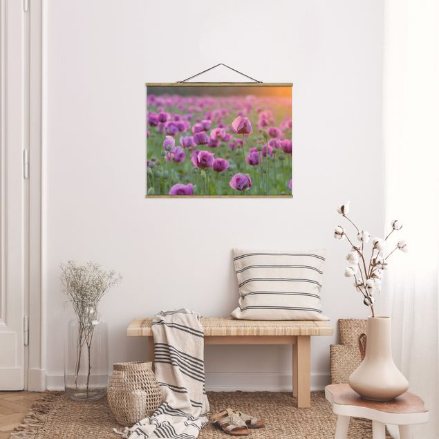 Tableaux modernes Prairie de coquelicots violets au printemps