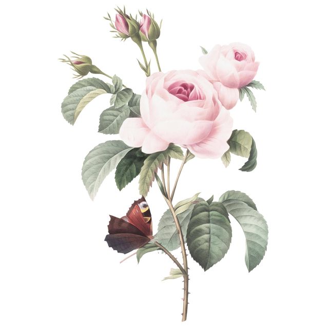 Stickers muraux retro Illustration vintage De Roses avec Paon XXL