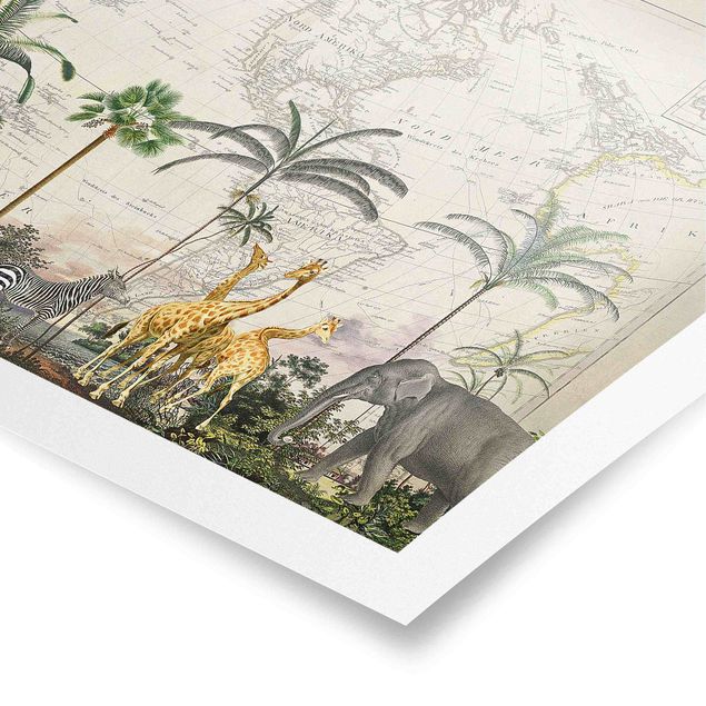 Tableau multicolor Collage Vintage - Faune et flore sur carte du monde