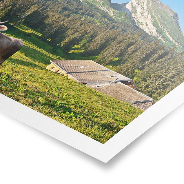 Tableaux Suisse Prairie alpine suisse avec vache