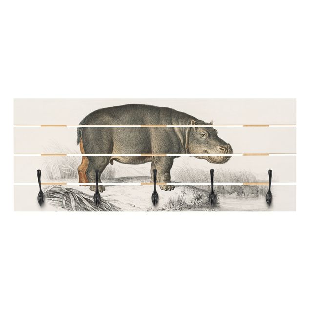 Porte manteau mural gris Tableau Vintage hippopotame