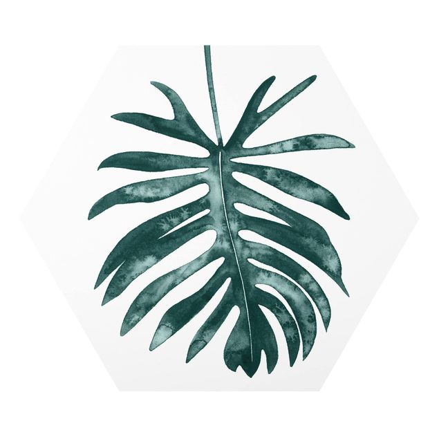 Tableau forex Emerald Philodendron Angustisectum