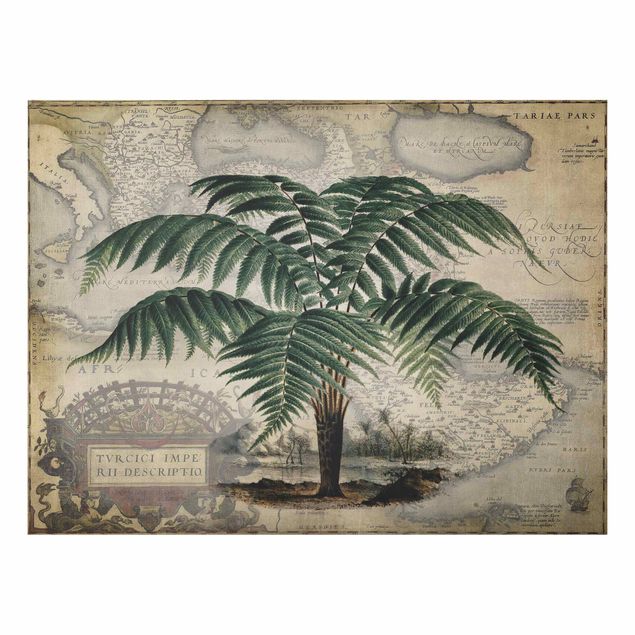 Tableau paysage Collage Vintage - Palmier et carte du monde