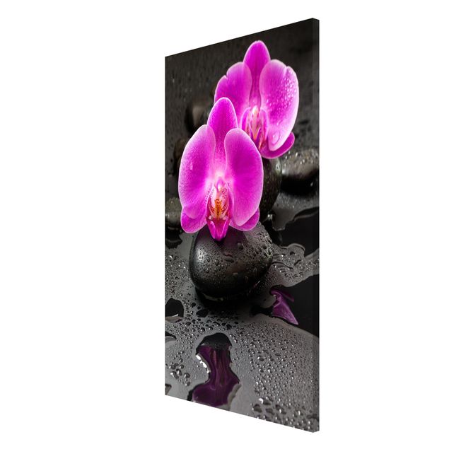 Tableaux magnétiques avec fleurs Fleur Orchidée Rose sur Pierres avec Gouttes