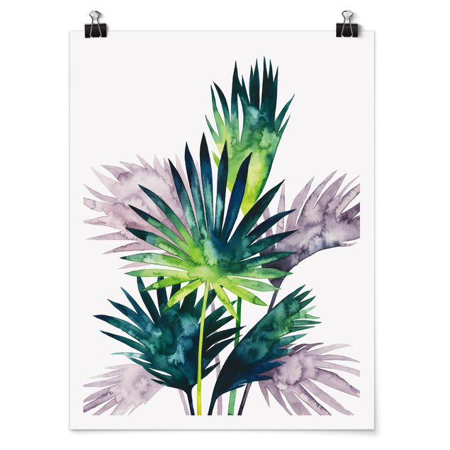 Poster fleurs Feuillage exotique - Fan Palm