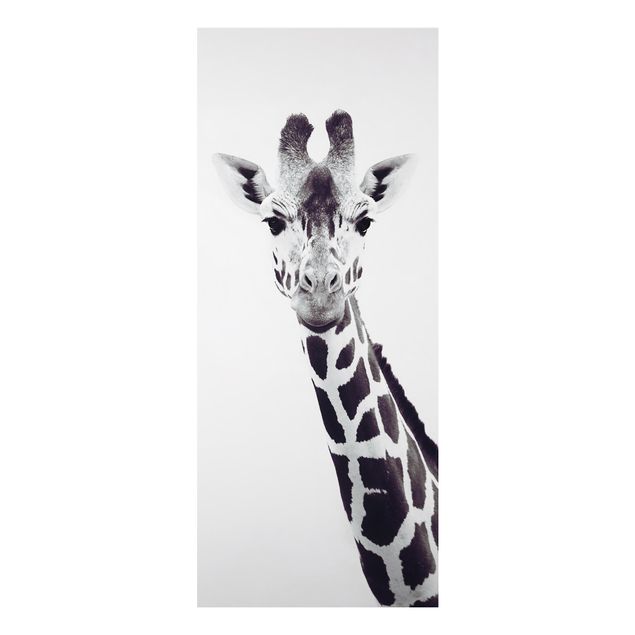 Tableaux girafes Portrait de girafe en noir et blanc